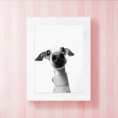 Modern Custom Pet Photo | Meeko Poster