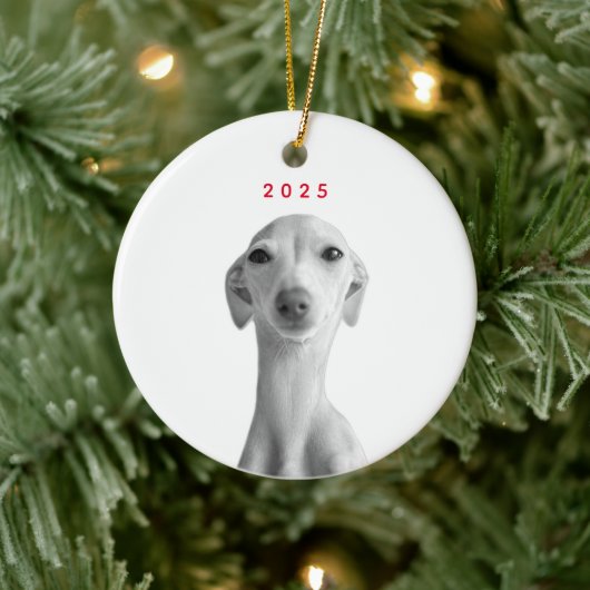 Modern Custom Pet Portrait  Keramisch Ornament (Boom)