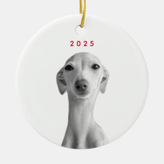 Modern Custom Pet Portrait Keramisch Ornament (Voorkant)