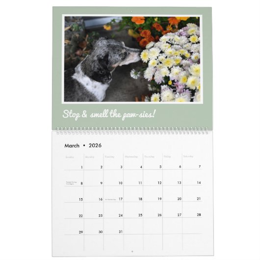 Modern Cute Dachshund Custom Pet Photos  Kalender (Mar 2026)