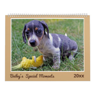 Modern Cute Dachshund Custom Pet Photos  Kalender