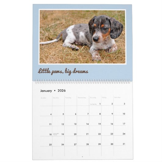 Modern Cute Dachshund Custom Pet Photos Kalender (Jan 2026)