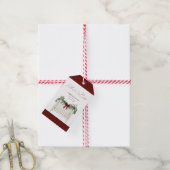 Modern Cute Elegant Santa Baby Baby Shower Cadeaulabel (Met Touw)