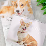 Modern Cute Funny Corgi Dogs Foto's Kalender<br><div class="desc">Design bestaat uit foto's van schattige Corgi-honden</div>