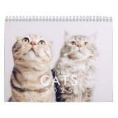 Modern Cute Funny Pet Kitten Cat Photos Kalender (Hoes)