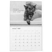 Modern Cute Funny Pet Kitten Cat Photos Kalender (Jan 2027)