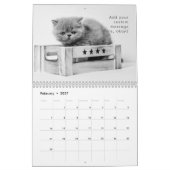 Modern Cute Funny Pet Kitten Cat Photos Kalender (Feb 2027)