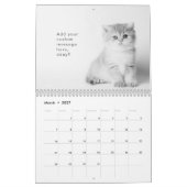Modern Cute Funny Pet Kitten Cat Photos Kalender (Mar 2027)