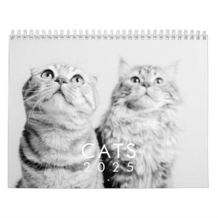 Modern Cute Funny Pet Kitten Cat Photos Kalender
