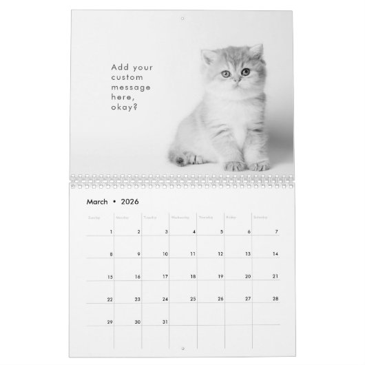 Modern Cute Funny Pet Kitten Cat Photos Kalender (Mar 2026)