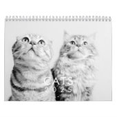 Modern Cute Funny Pet Kitten Cat Photos Kalender (Hoes)