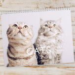 Modern Cute Funny Pet Kitten Cat Photos Kalender<br><div class="desc">Het ontwerp bestaat uit foto's van schattige katten.</div>
