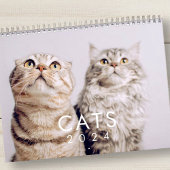 Modern Cute Funny Pet Kitten Cat Photos Kalender