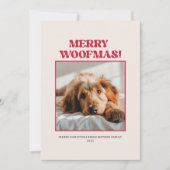 Modern Cute Puppy Dog Pet Photo Picture Christmas Feestdagenkaart (Voorkant)