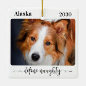 Modern Definieer Ondeugende Gepersonaliseerde Grap Keramisch Ornament (Achterkant)