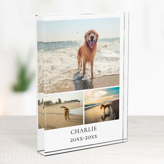 Modern Dog Keepsake Cute Personalized Pet Collage Fotoblokken