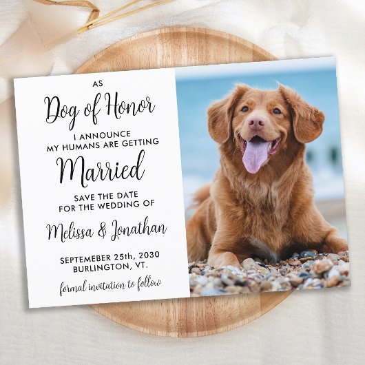 Modern Dog of Honor Custom Photo Pet Wedding Save The Date