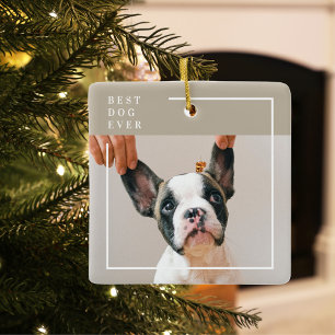 Modern Dog Photo   Beste hond ooit beige Keramisch Ornament