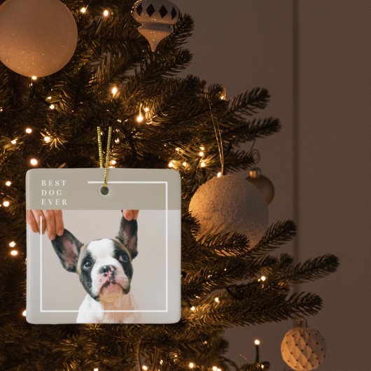Modern Dog Photo | Beste hond ooit beige Keramisch Ornament