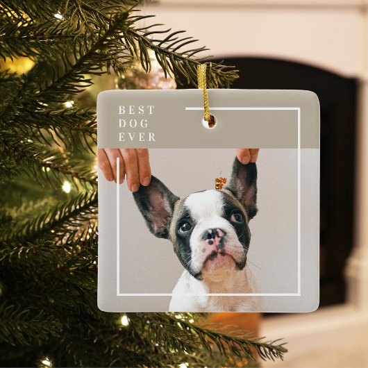 Modern Dog Photo | Beste hond ooit beige Keramisch Ornament