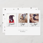 Modern Dog Photo Collage Peace Joy Wags kerst Feestdagenkaart (Voorkant / Achterkant)