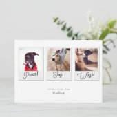 Modern Dog Photo Collage Peace Joy Wags kerst Feestdagenkaart (Staand voorkant)