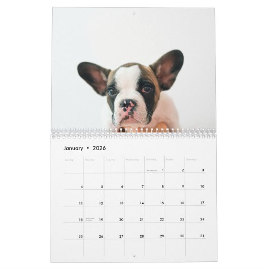 Modern Dog Photo | Dog Quote Kalender (Jan 2026)