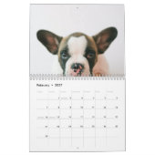 Modern Dog Photo | Dog Quote Kalender (Feb 2027)