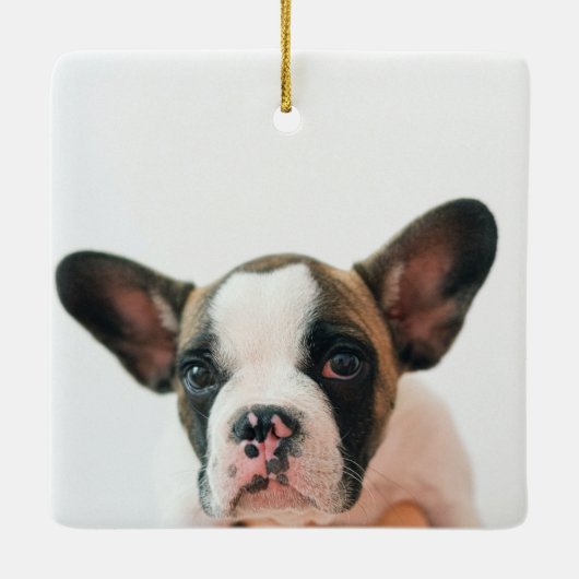 Modern Dog Photo | Dog Quote Keramisch Ornament (Achterkant)