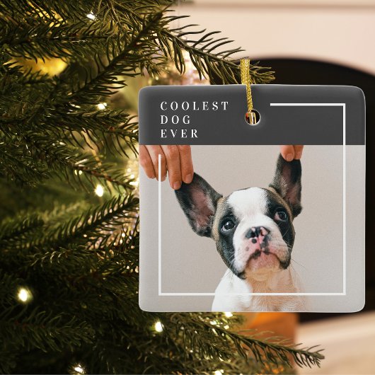 Modern Dog Photo | Koelste hond ooit Keramisch Ornament