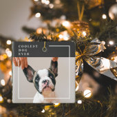 Modern Dog Photo | Koelste hond ooit Keramisch Ornament