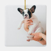 Modern Dog Photo | Koelste hond ooit Keramisch Ornament (Achterkant)