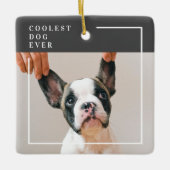 Modern Dog Photo | Koelste hond ooit Keramisch Ornament (Voorkant)