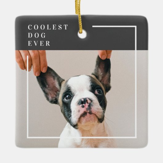 Modern Dog Photo | Koelste hond ooit Keramisch Ornament (Voorkant)