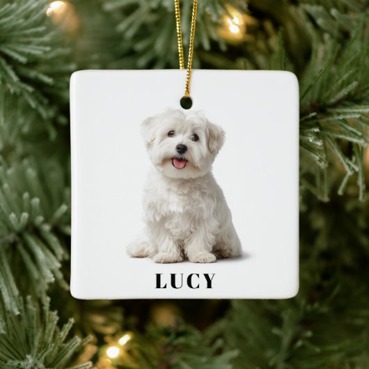 Modern Dog Photo | Merry Christmas Ornament (Boom)