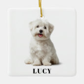 Modern Dog Photo | Merry Christmas Ornament (Voorkant)