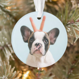 Modern Dog Photo | Vrolijk kerstfeest Ornament