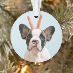 Modern Dog Photo   Vrolijk kerstfeest Ornament