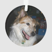 Modern Dog Red EERST CHRISTMAS Snowflake Photo Ornament (achterkant)