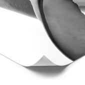 Modern Dolphin Portret zwart wit Poster (Hoek)