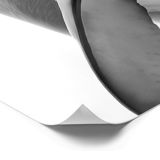 Modern Dolphin Portret zwart wit Poster (Hoek)