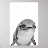 Modern Dolphin Portret zwart wit Poster (Voorkant)