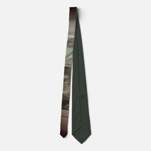Modern Earth-Toned Silk Stropdas (Achterkant)
