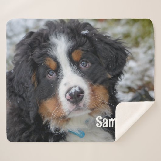 Modern eenvoudig gepersonaliseerd Hondenliefhebber Sherpa Deken (Voorkant (horizontaal))