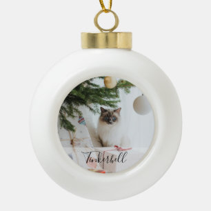Modern Eenvoudige Klassieker met Naam en Huisdier  Keramische Bal Ornament