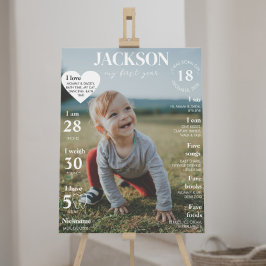Modern Eerste Verjaardagsfoto Milestone Poster