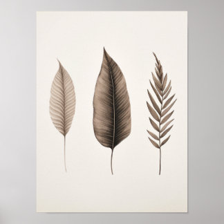 Modern elegant clean leave poster