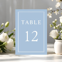 Modern Elegant Formal Powder Blue Wedding