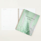 Modern, elegant, glitter, groen-zilver planner (Display)