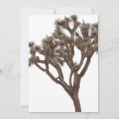 Modern Elegant Green Brown Joshua Tree Wedding Kaart (Achterkant)